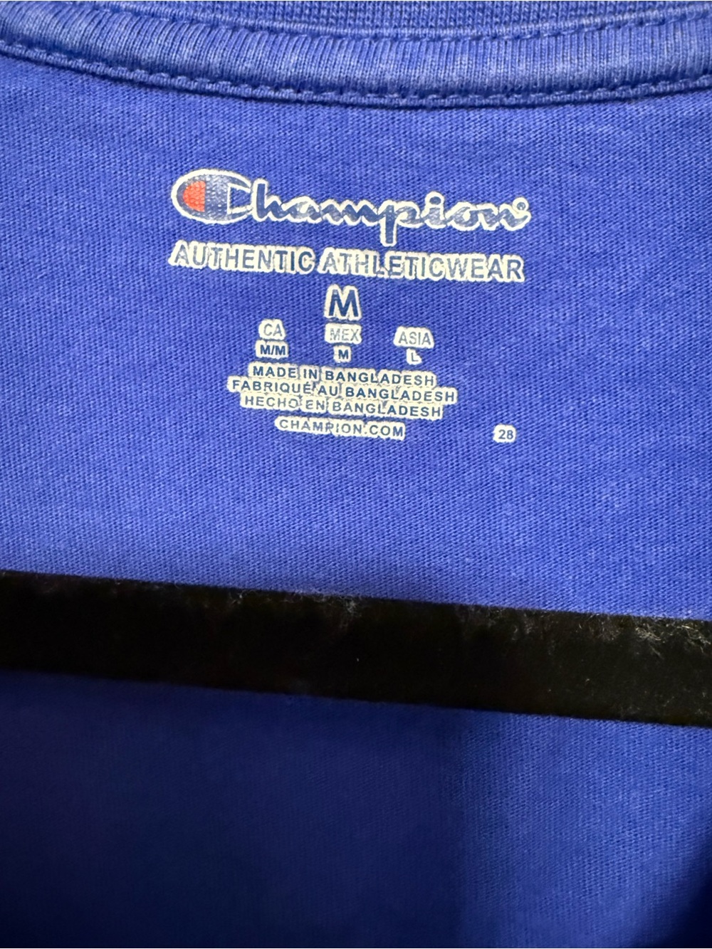 Florida Gators Embroidered Graphic Tee Royal Blue Size Medium NCAA-Champion - Picture 2 of 6